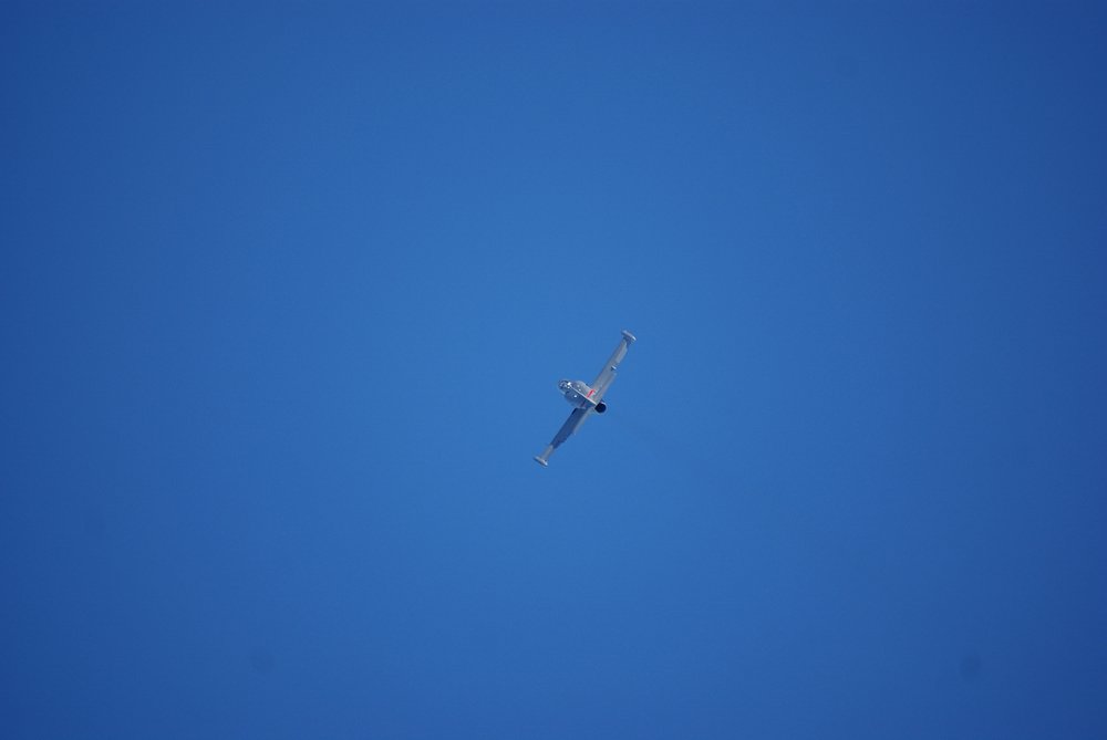 DSC02850.jpg