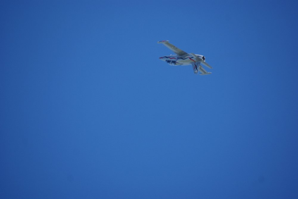 DSC02870.jpg