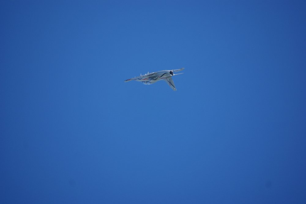 DSC02871.JPG