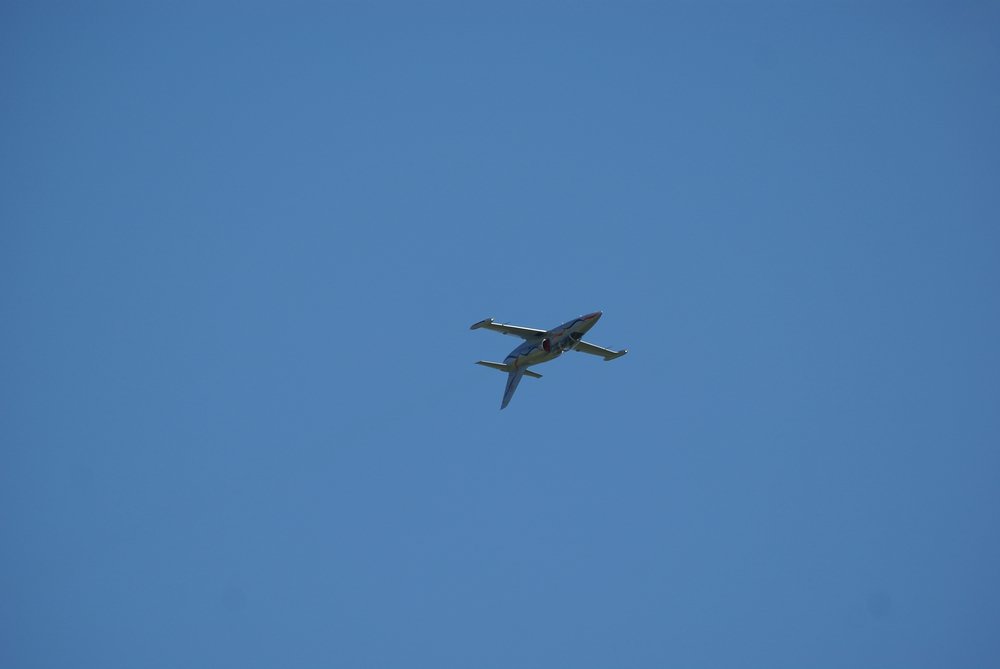 DSC02875.jpg