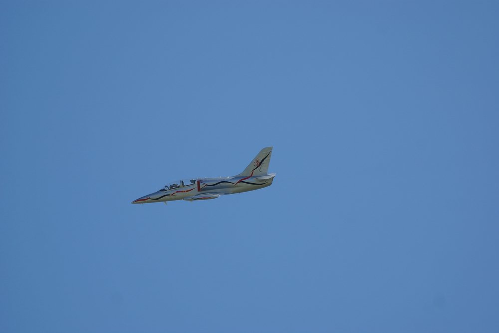 DSC02890.jpg