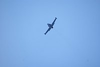 DSC02832.jpg