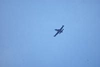 DSC02833.jpg