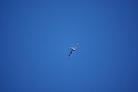 DSC02850.jpg