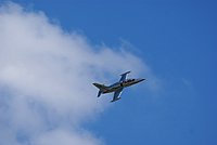 DSC02852.jpg