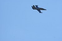 DSC02860.jpg
