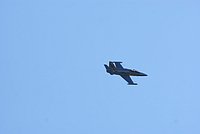 DSC02861.jpg