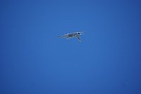 DSC02871.JPG