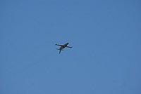 DSC02873.jpg