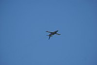 DSC02875.jpg