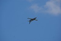 DSC02876.jpg