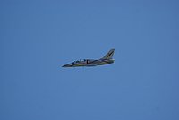 DSC02889.jpg