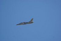 DSC02890.jpg