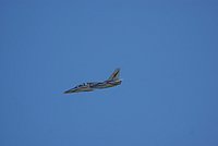 DSC02891.jpg