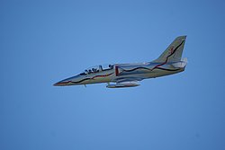 DSC02822.jpg