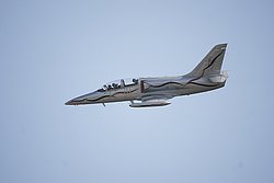 N139TS-2.jpg