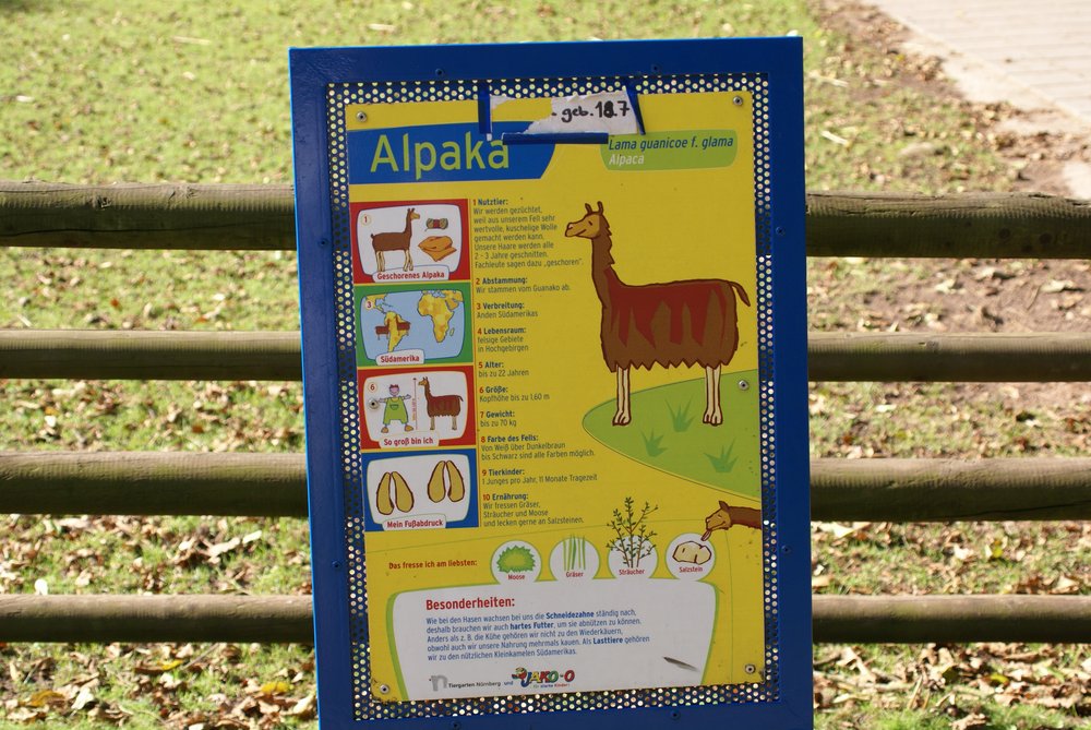 Alpaka-012.JPG
