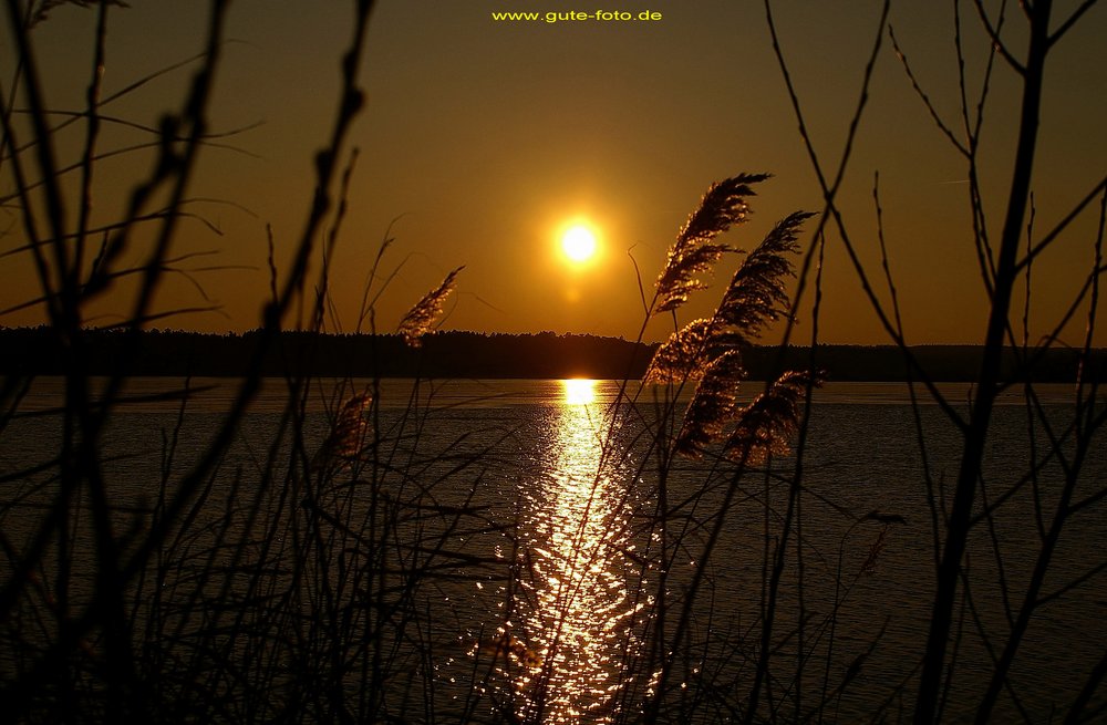 See-001.jpg