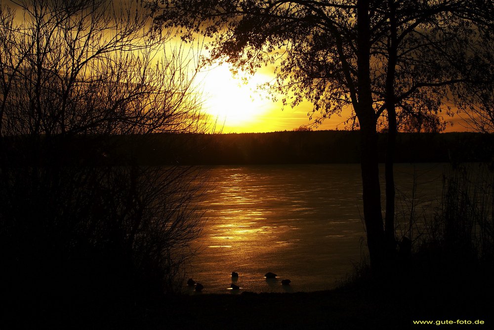 See-002.jpg