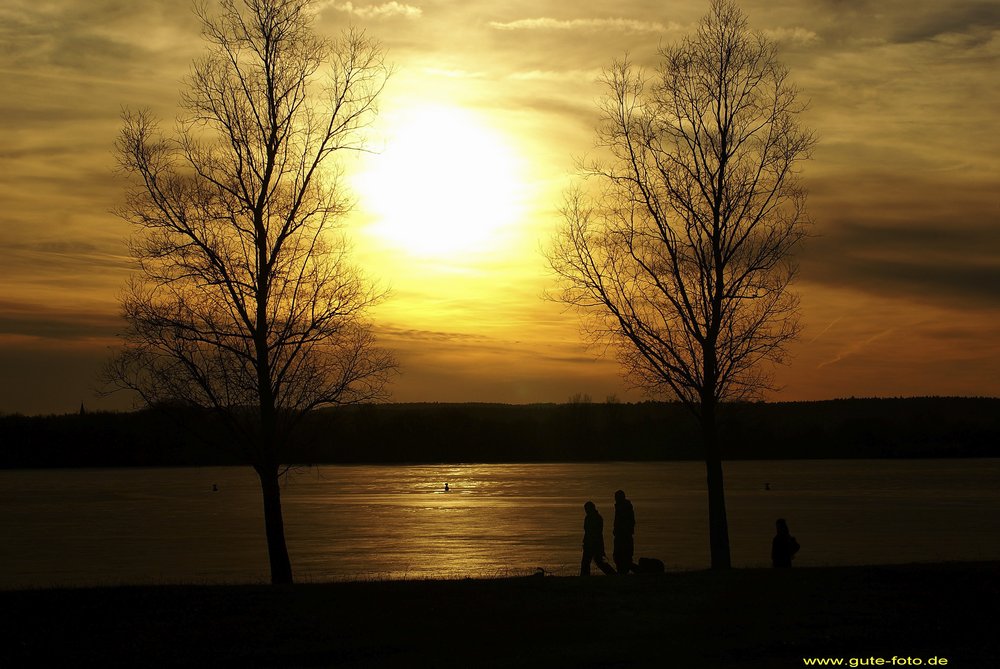 See-003.jpg