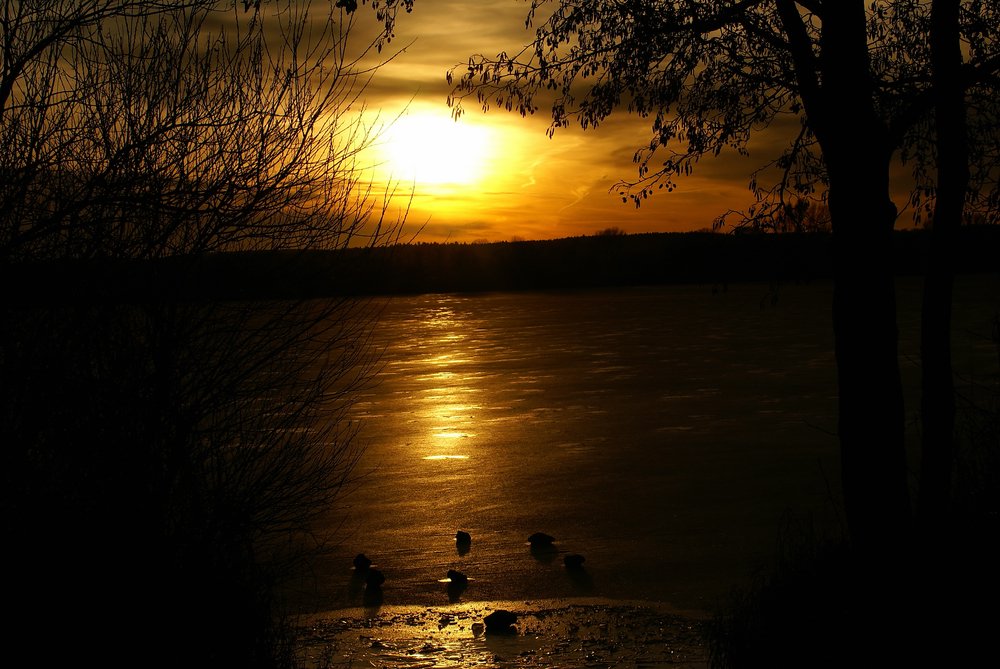 See-009.JPG