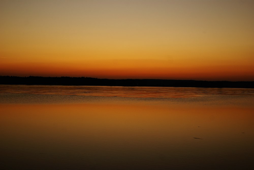 See-016.JPG