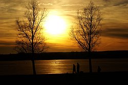 See-003.JPG