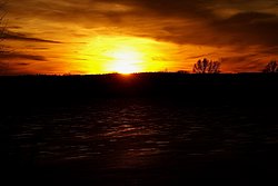 See-008.JPG