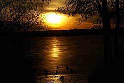 See-009.JPG