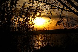 See-013.JPG