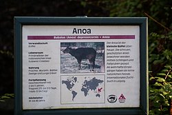 DSC01820.jpg