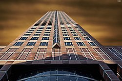 das hohe Haus.jpg