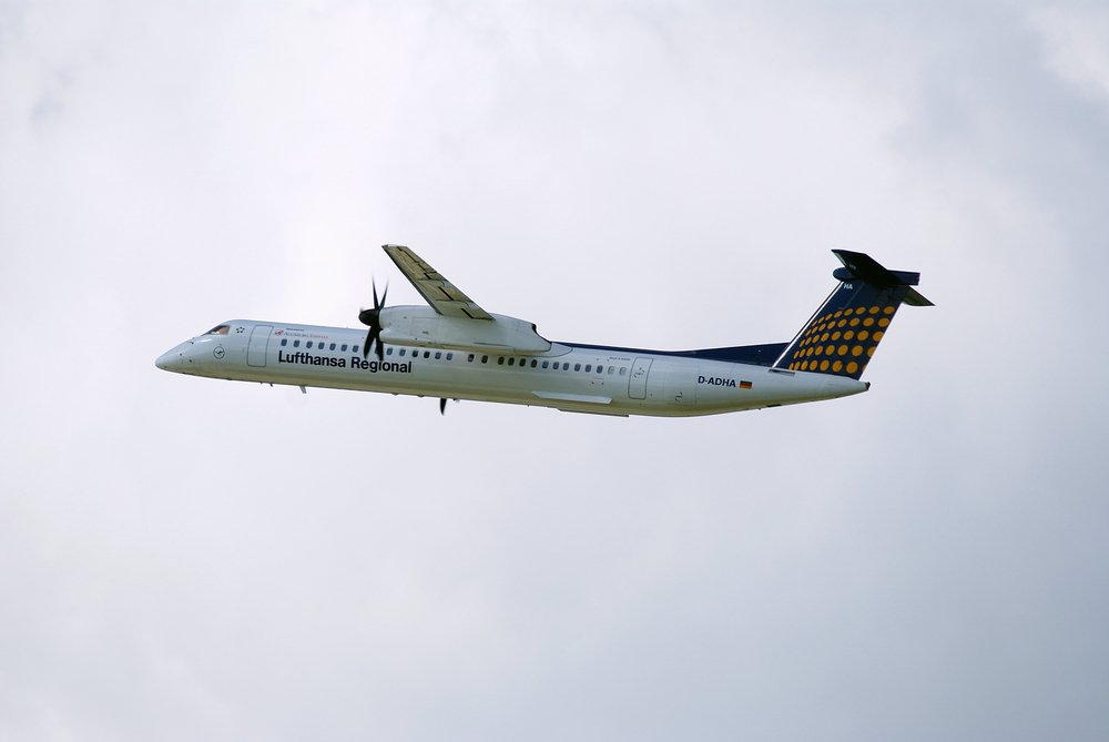 D-ADHA-1.JPG