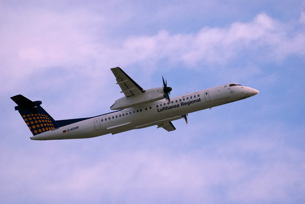 D-ADHB_2.JPG
