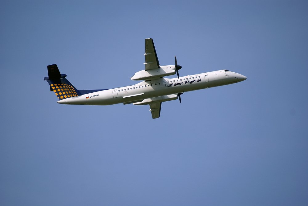 D-ADHE.JPG