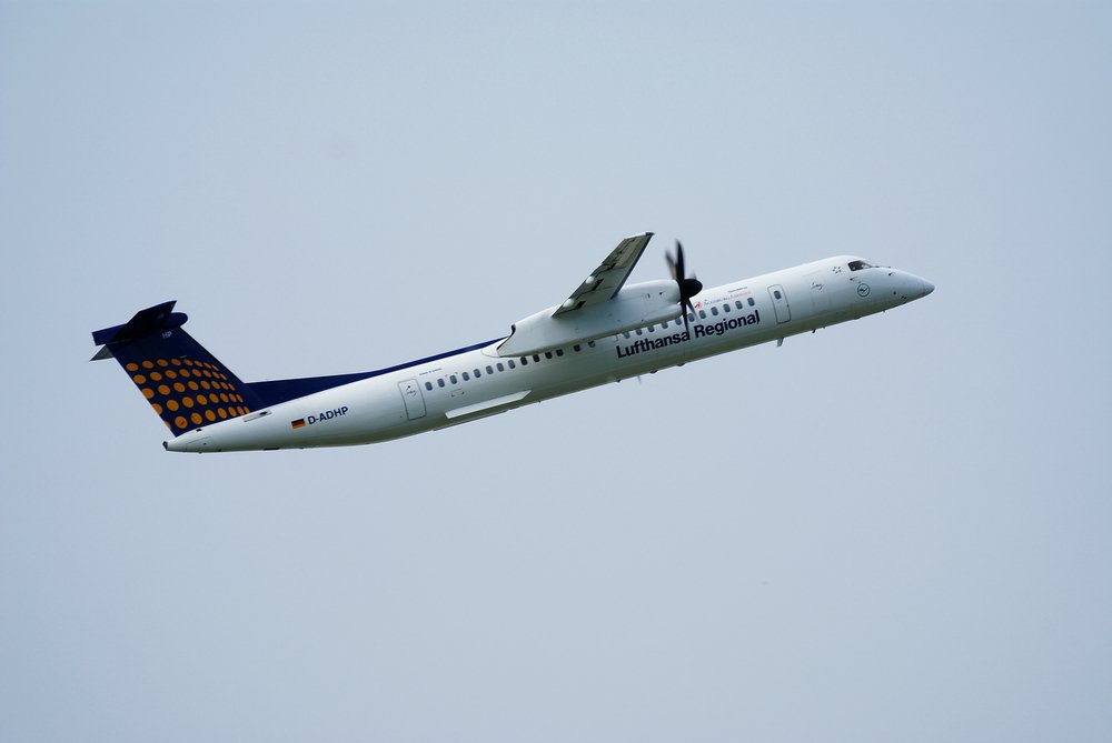 D-ADHP-1.JPG