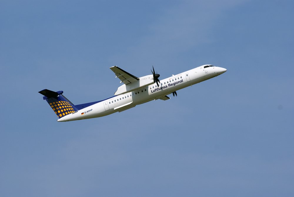 D-ADHP-2.JPG