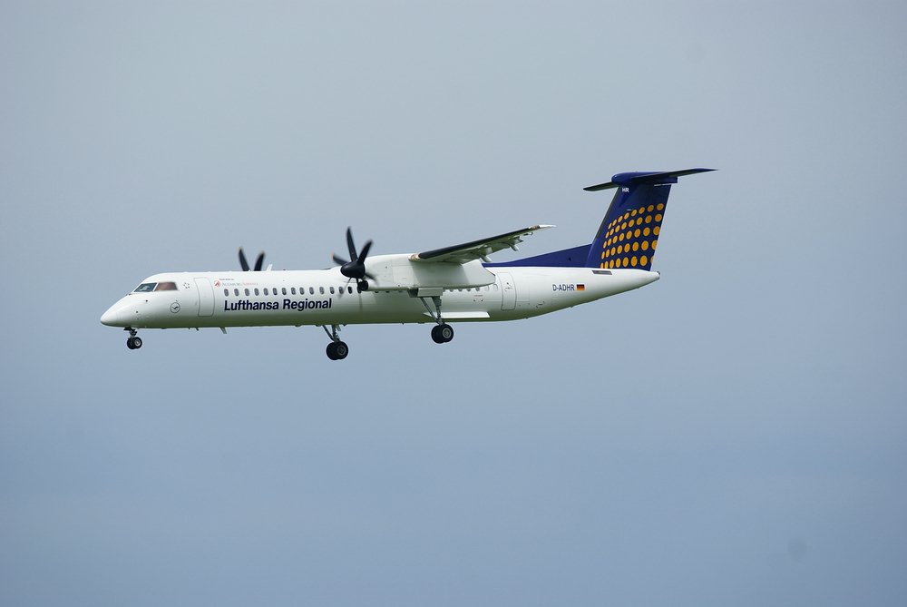 D-ADHR_2.JPG