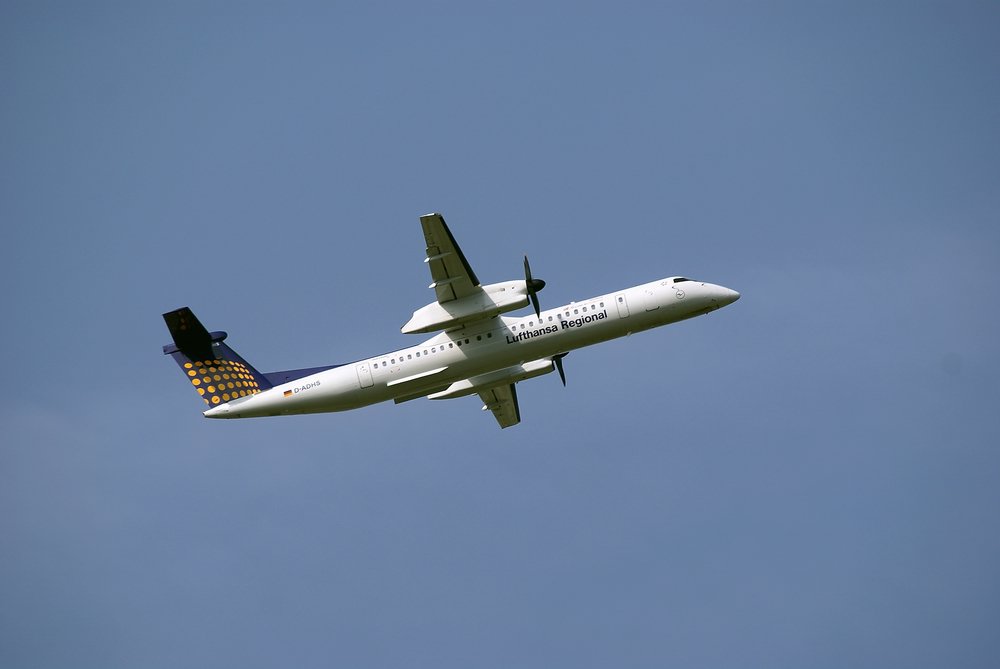 D-ADHS-1.JPG
