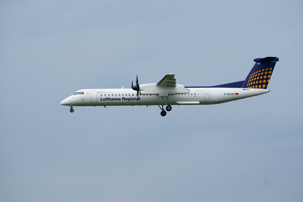 D-ADHS.JPG