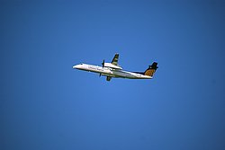 D-ADHQ.JPG