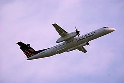 D-ADHR-1.JPG