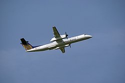 D-ADHS-1.JPG