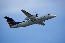 D-BDTM-1.JPG