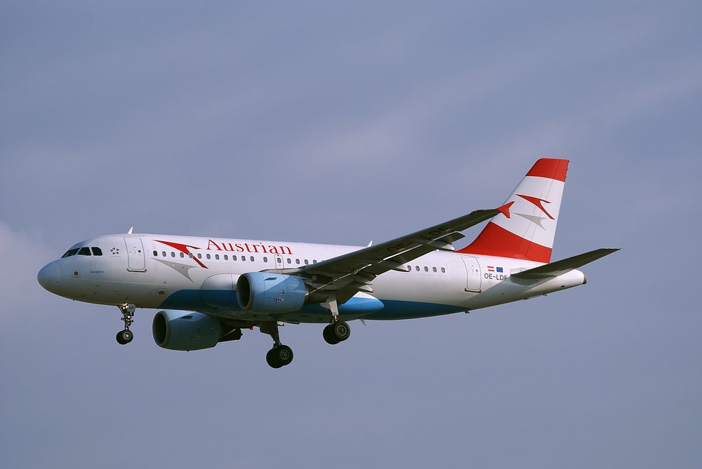 OE-LDF.JPG