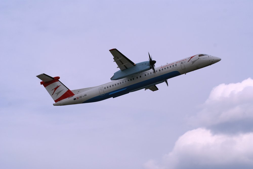 OE-LGE-1.JPG