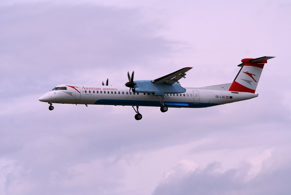 OE-LGE.JPG