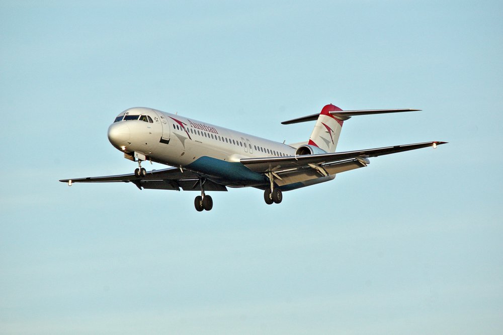 OE-LVE-01.jpg