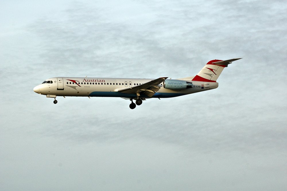 OE-LVE-02.jpg