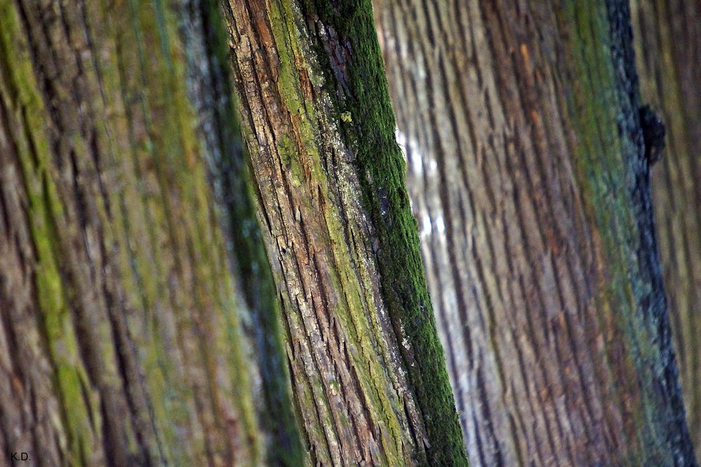 Farben der Natur.jpg